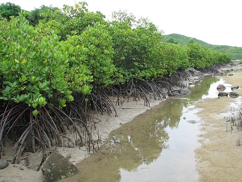 ความเชื่อมโยงในภูมิภาคเพื่อรับมือกับการเปลี่ยนแปลงของสภาพภูมิอากาศ